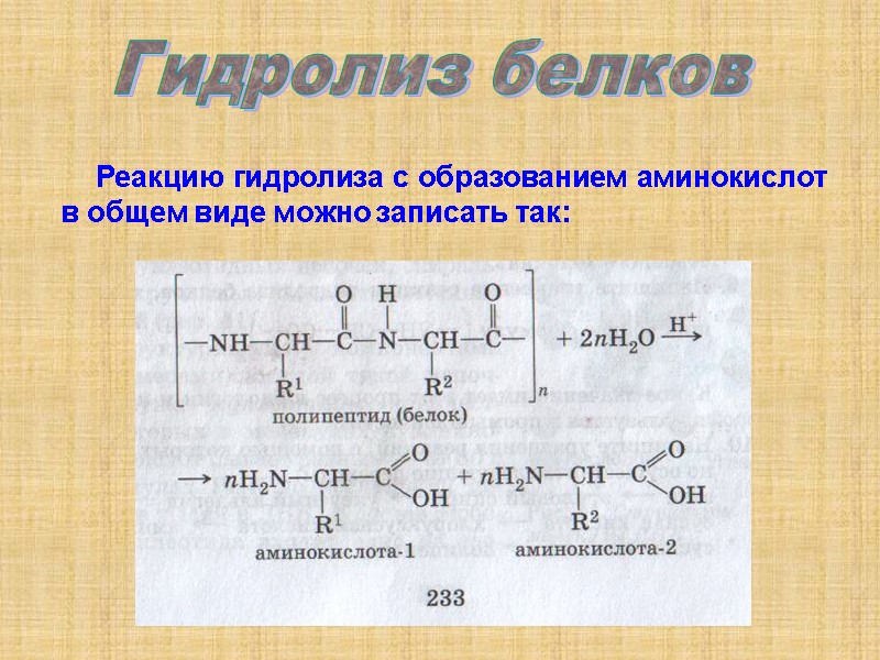 Реакцию гидролиза с образованием аминокислот в общем виде можно записать так:  Гидролиз белков